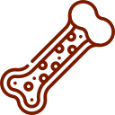 “Medical illustration of a human bone highlighting structure and density to represent bone health and skeletal conditions. Image used by a medical clinic in San Bernardino to explain bone related issues fractures and musculoskeletal care.