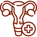 Illustration representing gynecology care with focus on the female reproductive system and women’s health services. Image used by a medical clinic in San Bernardino to explain gynecological care preventive exams and patient support