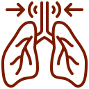 “Medical illustration of human lungs highlighting the airway and lung structure to represent respiratory health and breathing function. Image used by a medical clinic in San Bernardino to explain lung related conditions and patient care.